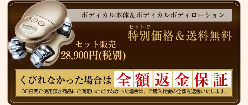 日本人気超絶の ボディカル EMS ボディカル(ボディカル 専用